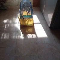 معاوضه با لاری