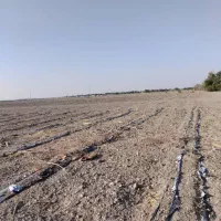 پمپ برقی زمین کشاورزی اجازه ای|فروش دفتر صنعتی، کشاورزی، تجاری|چاه داد خدا, |دیوار