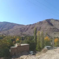 نیازمند به شغل