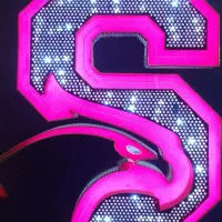 طراحی . چاپ . برش لیزری . نئون سیلیکونی . چلنیوم|خدمات رایانه‌ای و موبایل|خوی, |دیوار