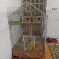 قفس بزرگ