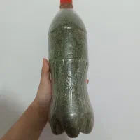 نعناع خشک خوش عطر وسبز