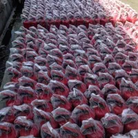 شارژ کپسول آتش نشانی|خدمات پیشه و مهارت|صفادشت, |دیوار