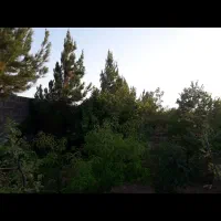 باغ-فروشی