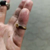 مهر طلا|جواهرات|رشت, بلوار گیلان|دیوار