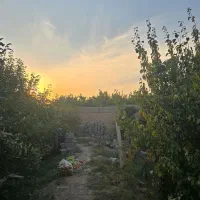 فروش-یک-قطعه-باغ-در-دزج-بر-اسفالت