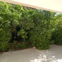 سویت ویلایی