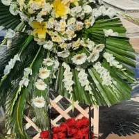 فروش سیم کارت کد یک