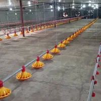 مرغداری-گوشتی-60هزار-معاوضه-با-ملک-در-تهران