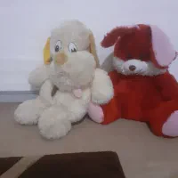 خرگوش
