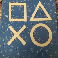 کیف حمل و نق PS4