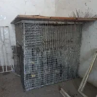 قفس اهنی
