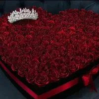 گل فقط شاخه ای ۲۰تومن