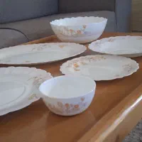 آرکوپال ۱۸ نفره تعداد کامل و سالم