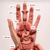 ماسور