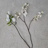 گل ۲ شاخه برند اکسیر