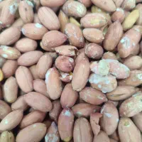 نیازمند کارگر برای کارگاه بادام پوست کنی