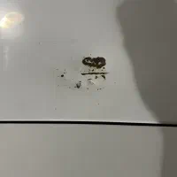 کوییک ۹۸ سالم|خودرو سواری و وانت|فردیس, ثابتی|دیوار