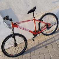 دو عدد دوچرخه ویوا و ویسا حرفه ای سایز ۲۴ و ۲۶|دوچرخه، اسکیت، اسکوتر|تربت جام, جامی|دیوار