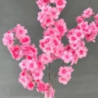 صندلی میکاپ و شنیون
