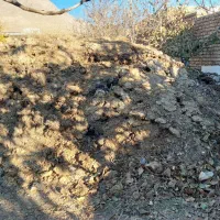 کود حیوانی|خدمات باغبانی و درختکاری|داران, |دیوار