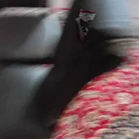 مقداری وسایل منزل|فرش|بروجرد, |دیوار