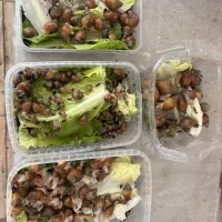 حلزون برای پرورش