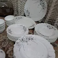 سرویس پذیرایی آیروپال