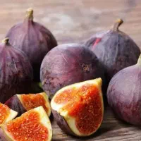 پیش فروش نهال انجیر سیاه سه فصل|خدمات باغبانی و درختکاری|آبگرم, |دیوار