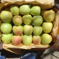 سیب سوپر لوکس|خوردنی و آشامیدنی|لاجان, |دیوار