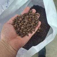 استخدام ویزیتور حضوری (میدانی) خانم و آقا