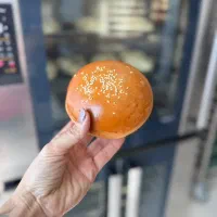 پخش کننده عمده برگر مک
