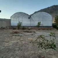 فروش گلخانه روستای چالابه