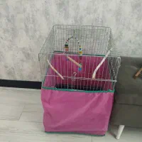قفس بزرگ پرنده