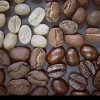 قهوه پخش دان و پودری