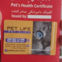 هانی خانم مهربان و تربیت شده|سگ|تهران, عباسآباد|دیوار