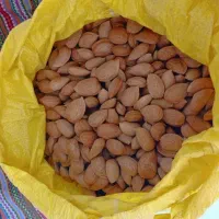 بادام سنگی تو پر و درشت|عمدهفروشی|مرند, |دیوار