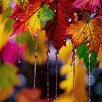 سلام راهنمایی نیاز دارم