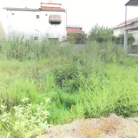 زمین-212-متری-بافت-زراعی-محمودآباد