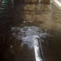 قالیشوی ملایری در پاکدشت و شریف اباد|خدمات نظافت|پاکدشت, پاکدشت (مامازند)|دیوار