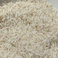 برنج بینام کشت دوم|خوردنی و آشامیدنی|بابل, |دیوار