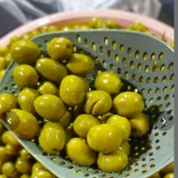 زیتون درجه یک یک طارم با بهترین قیمت و کیفیت|خوردنی و آشامیدنی|رشت, رشتیان|دیوار