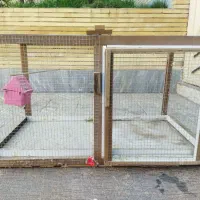 کبوتر کله ای قفس|پرنده|پیر بکران, |دیوار