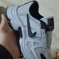 نایک V2K|کیف، کفش، کمربند|گلبهار, شهر جدید گلبهار|دیوار