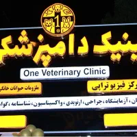 دامپزشکی وان/درمان وجراحی،فیزیوتراپی،پتشاپ،آرایشگا|خدمات آرایشگری و زیبایی|شیراز, فرهنگ شهر|دیوار