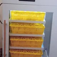 دستگاه جوجه کشی ۱۶۸تایی برق وباطری اتومات مدلR4683