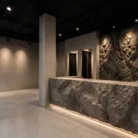 رنگ کار و نقاشی ساختمان .میکروسمنت