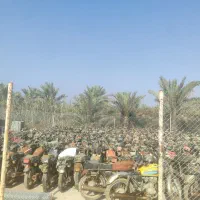 موتور با برگه قانونی