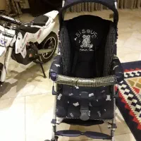 کالسکه و کریر|کالسکه و لوازم جانبی|کرج, گلشهر|دیوار