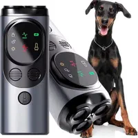 گجت|ساعت|قشم, |دیوار